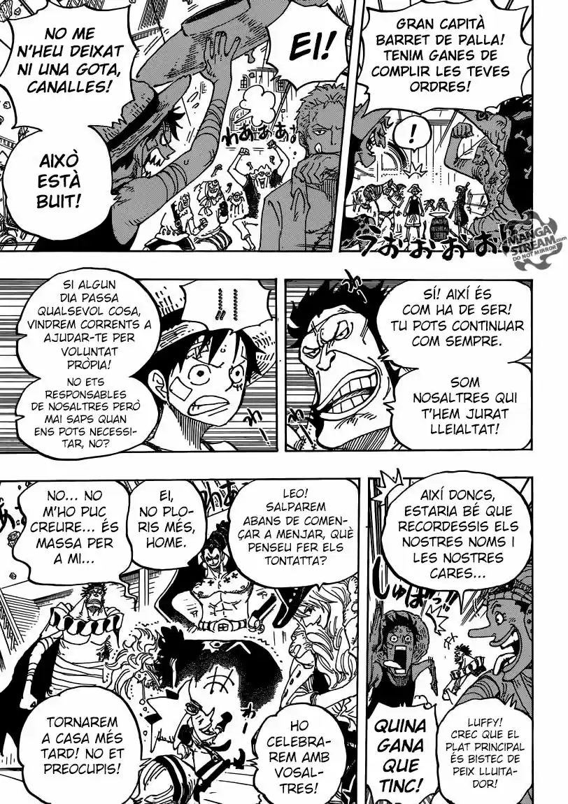 One Piece (Català) (1997) - Capítulo 800 - Página 11 - LectorTMOo