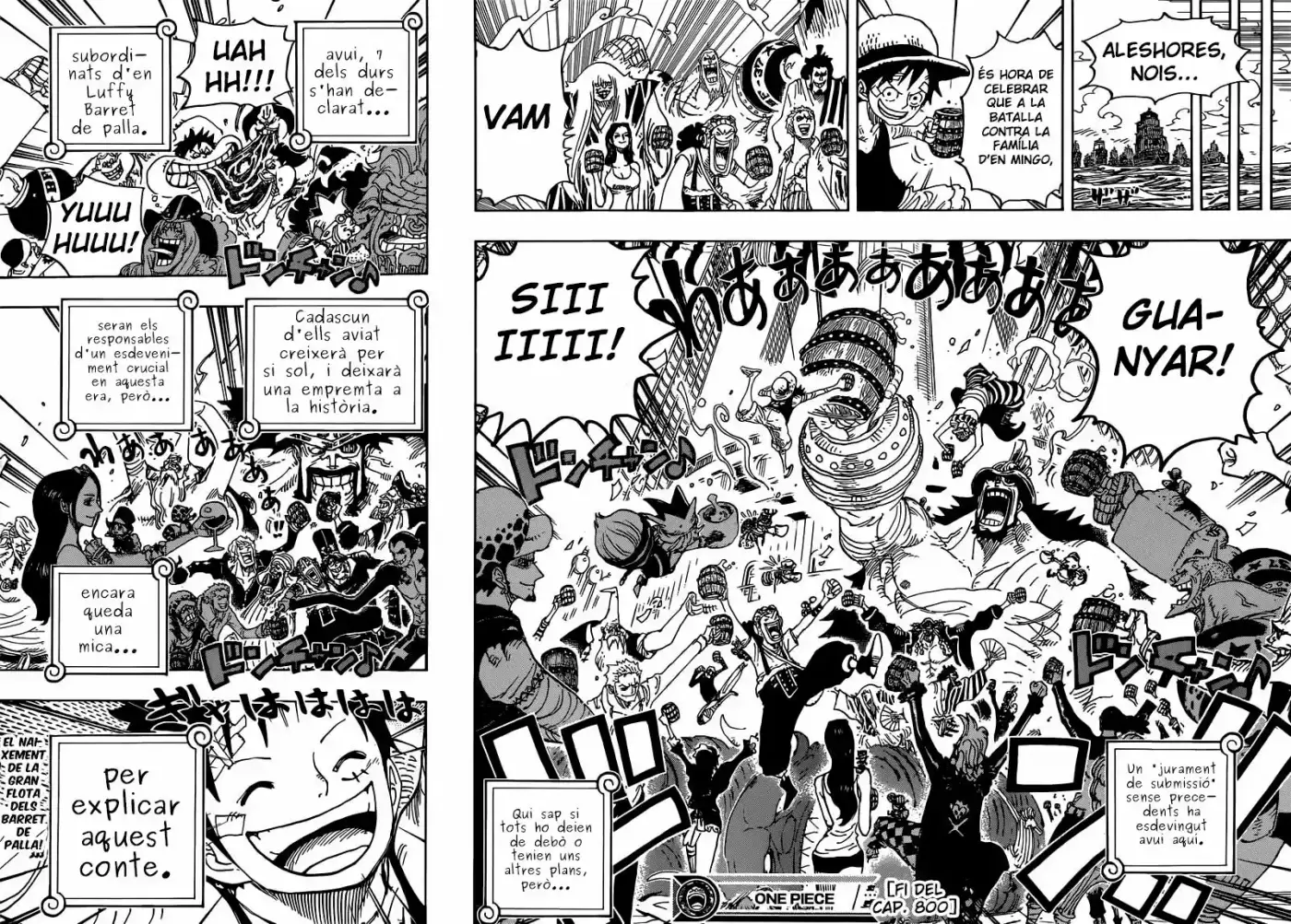 One Piece (Català) (1997) - Capítulo 800 - Página 13 - LectorTMOo