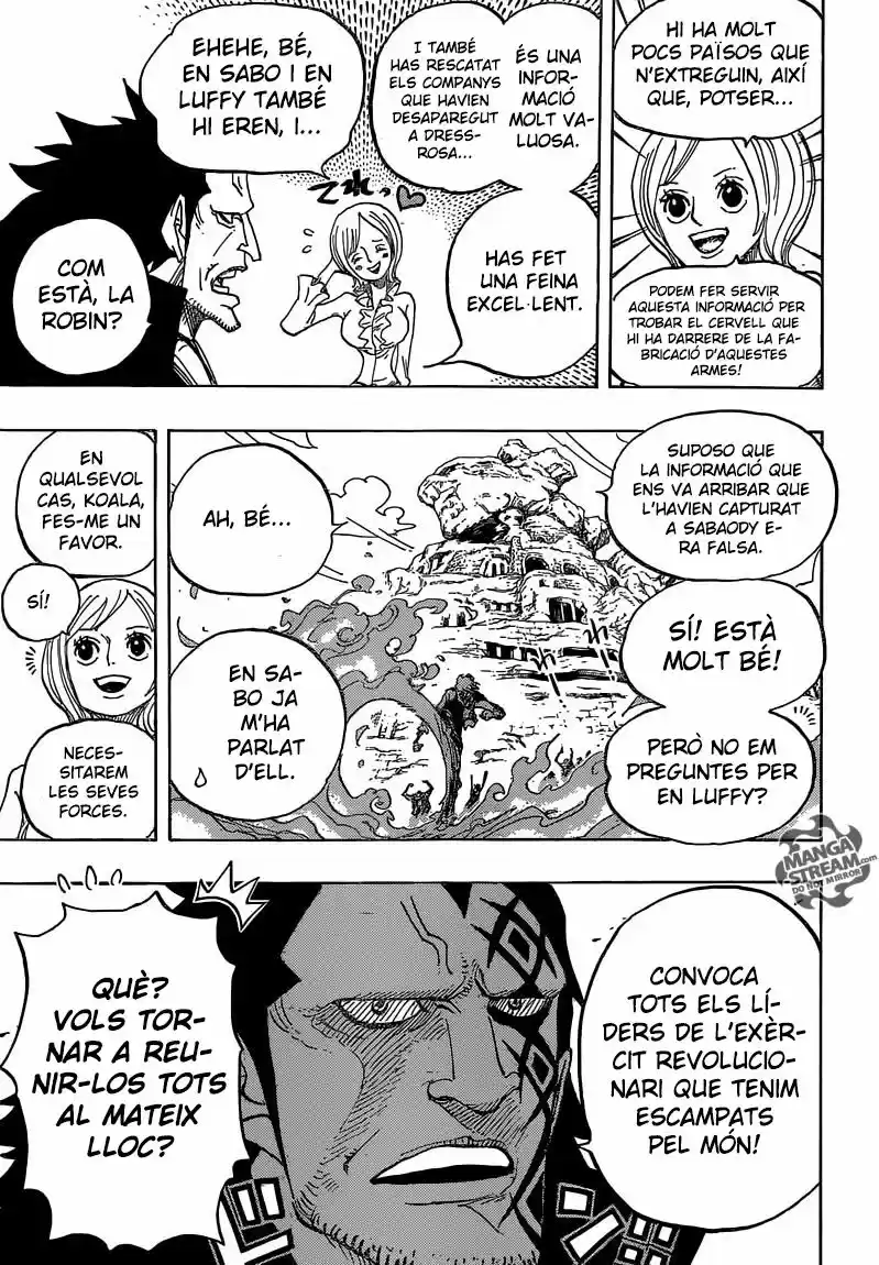 One Piece (Català) (1997) - Capítulo 803 - Página 7 - LectorTMOo