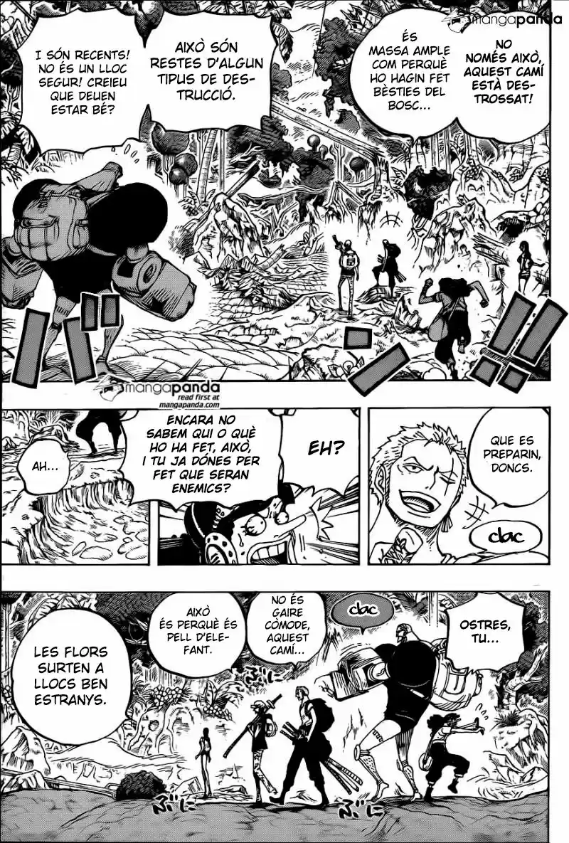 One Piece (Català) (1997) - Capítulo 804 - Página 12 - LectorTMOo