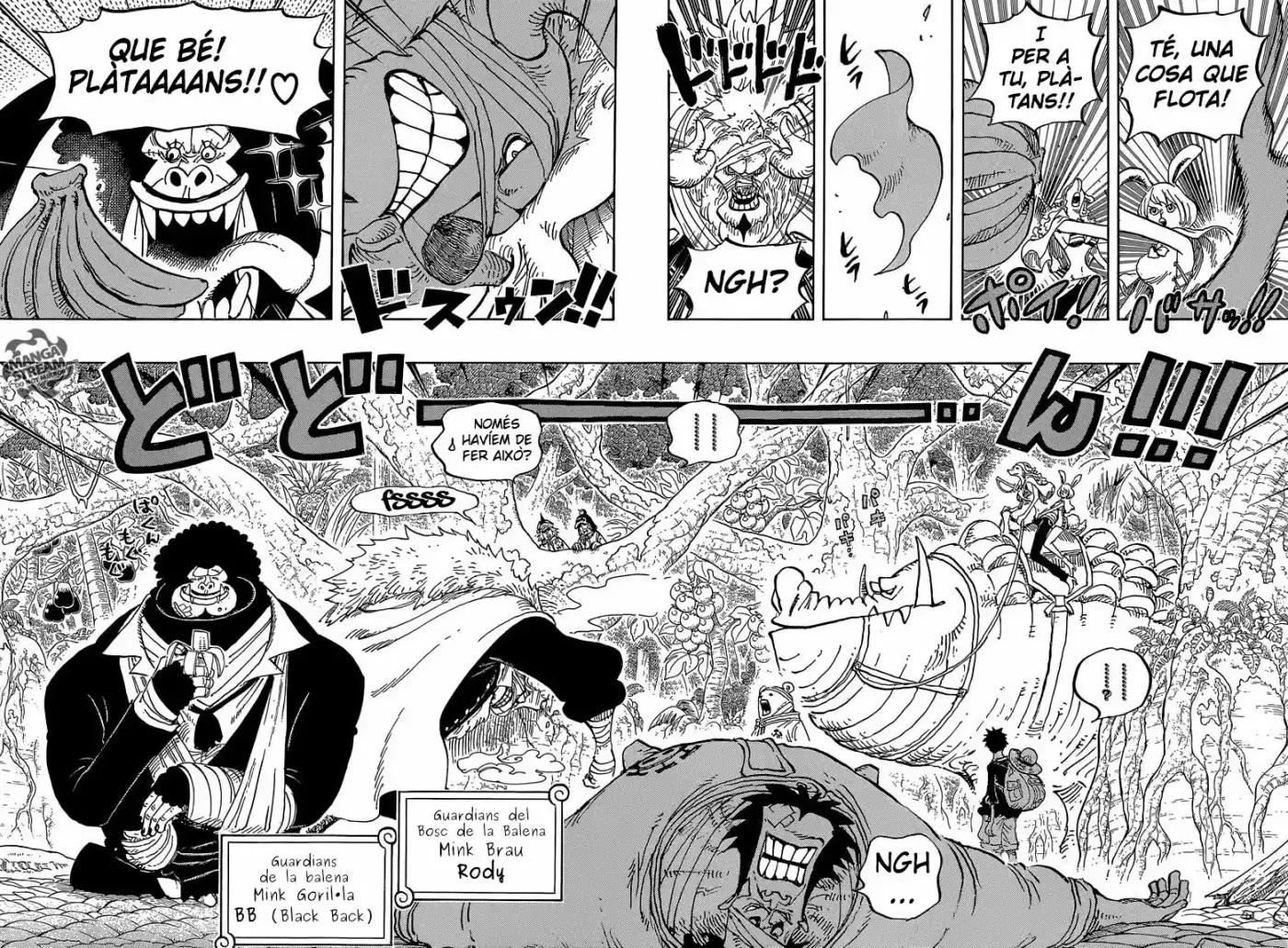 One Piece (Català) (1997) - Capítulo 805 - Página 10 - LectorTMOo