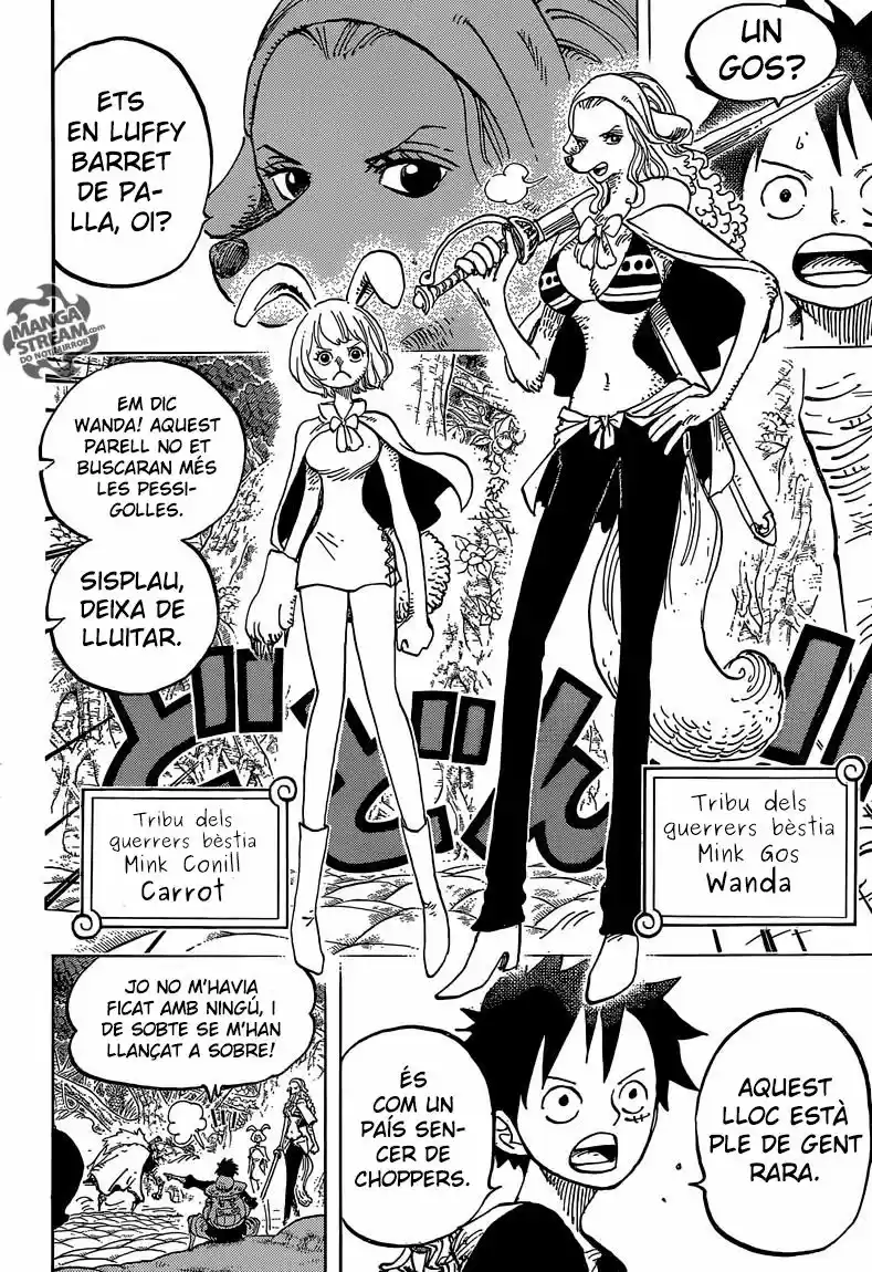 One Piece (Català) (1997) - Capítulo 805 - Página 11 - LectorTMOo