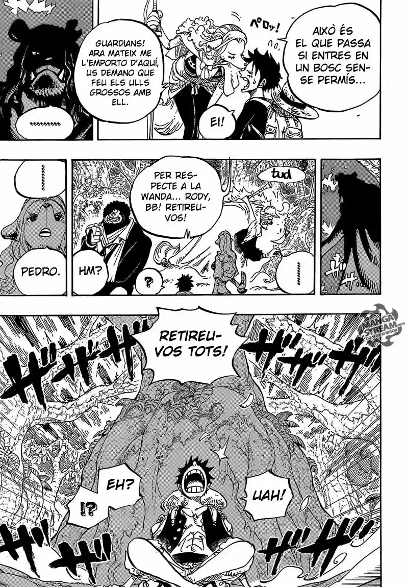 One Piece (Català) (1997) - Capítulo 805 - Página 12 - LectorTMOo