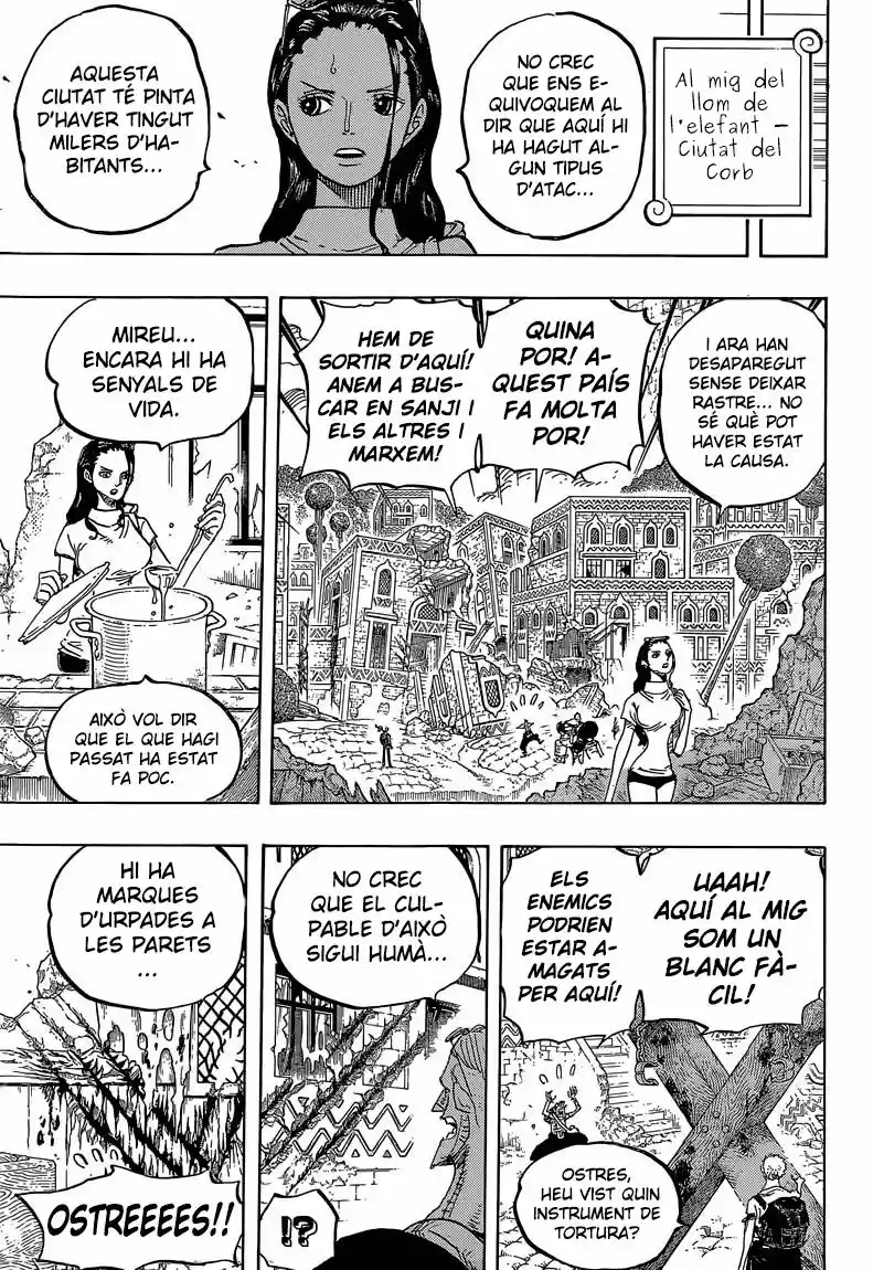 One Piece (Català) (1997) - Capítulo 805 - Página 14 - LectorTMOo