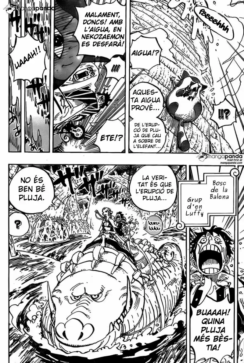 One Piece (Català) (1997) - Capítulo 806 - Página 4 - LectorTMOo
