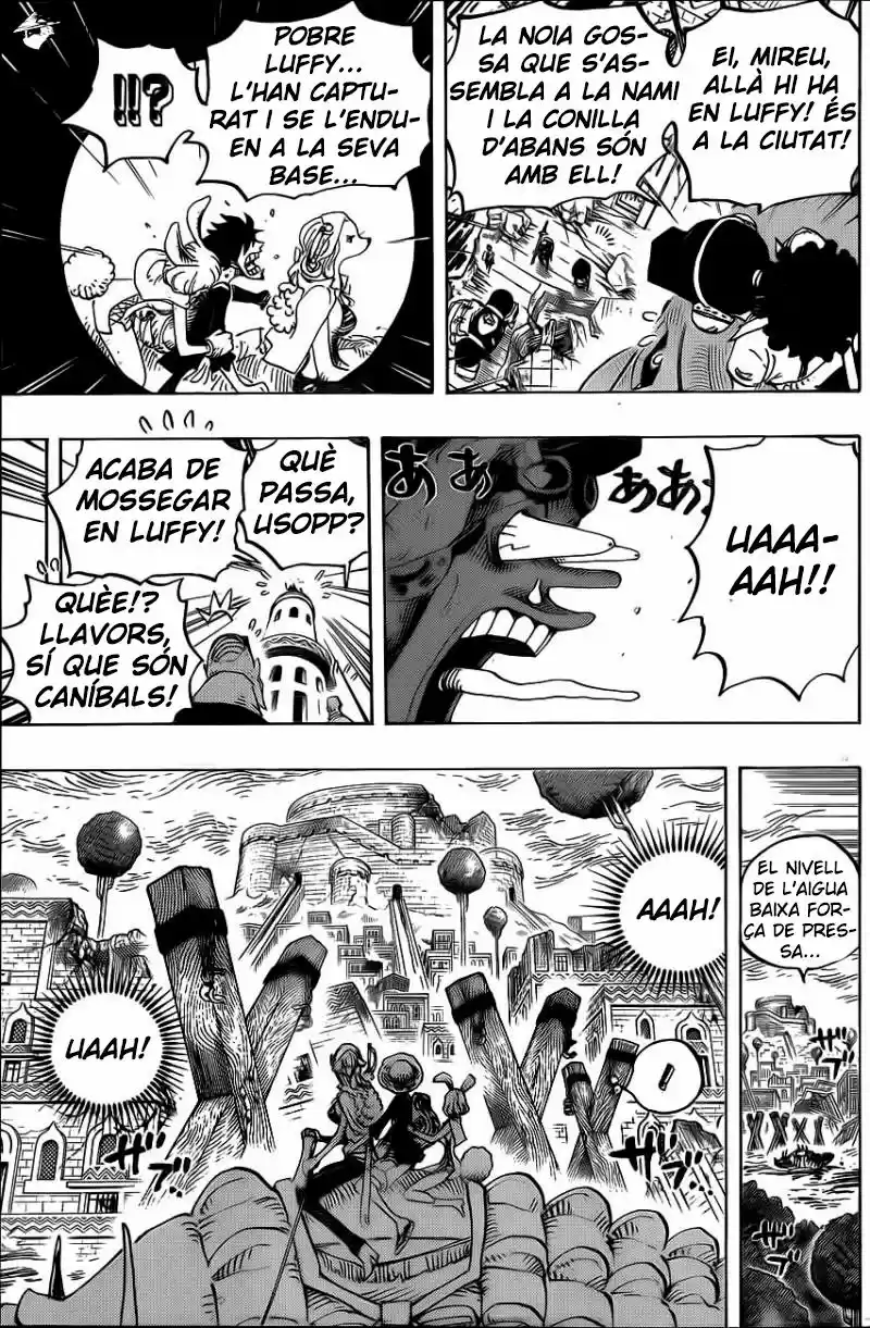 One Piece (Català) (1997) - Capítulo 806 - Página 7 - LectorTMOo