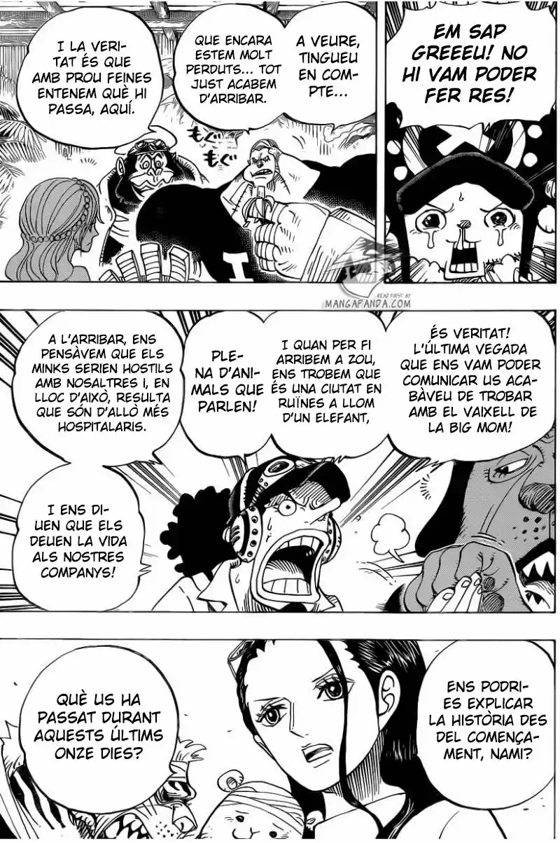 One Piece (Català) (1997) - Capítulo 807 - Página 6 - LectorTMOo