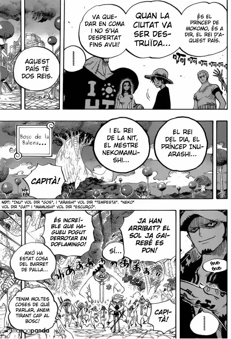 One Piece (Català) (1997) - Capítulo 807 - Página 14 - LectorTMOo