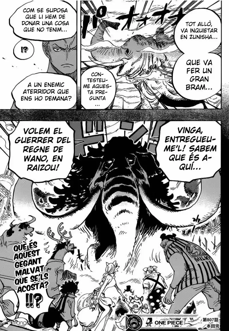 One Piece (Català) (1997) - Capítulo 807 - Página 16 - LectorTMOo