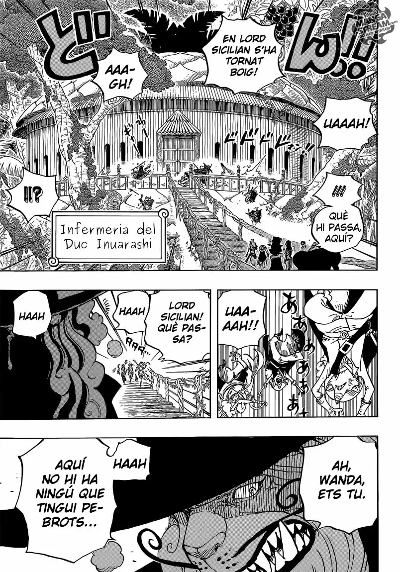 One Piece (Català) (1997) - Capítulo 808 - Página 12 - LectorTMOo