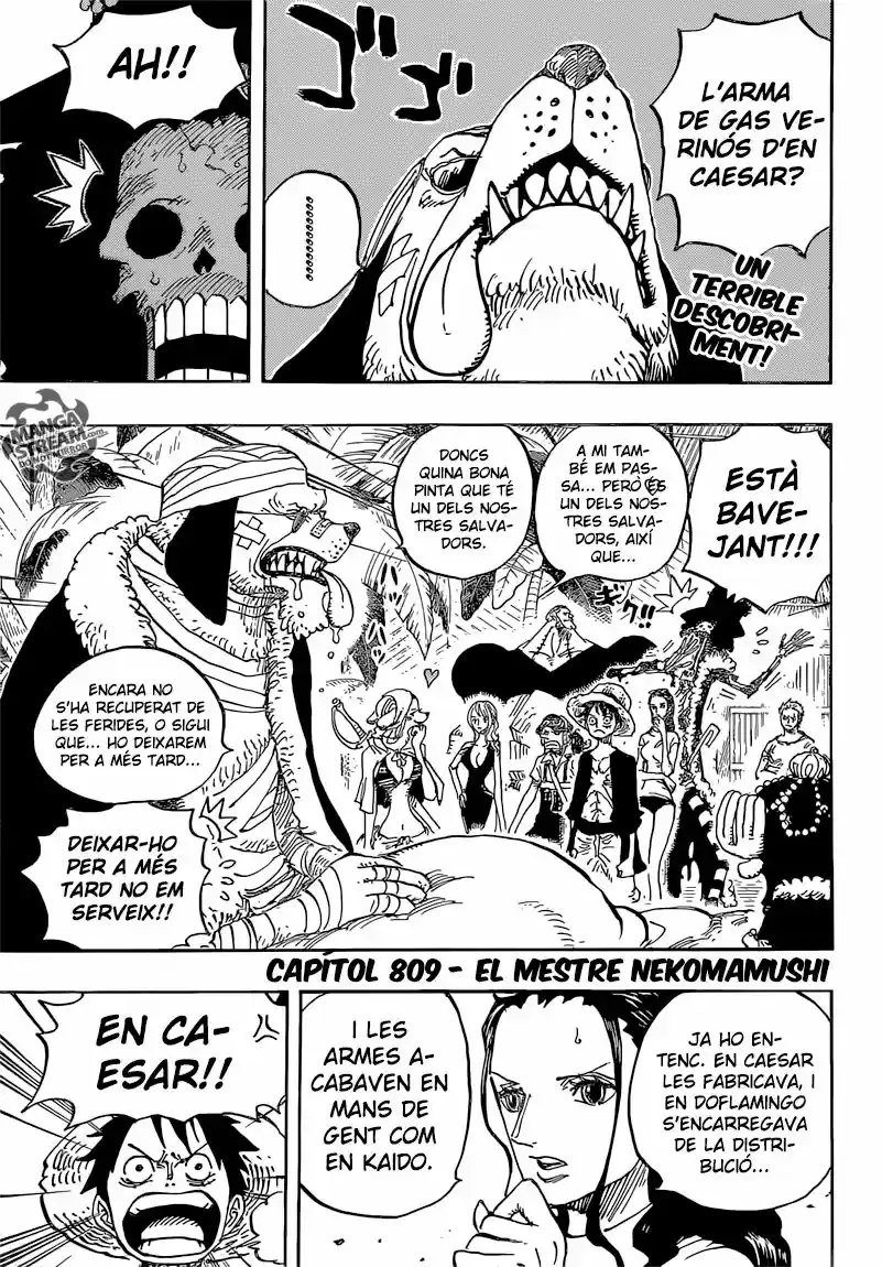 One Piece (Català) (1997) - Capítulo 809 - Página 4 - LectorTMOo
