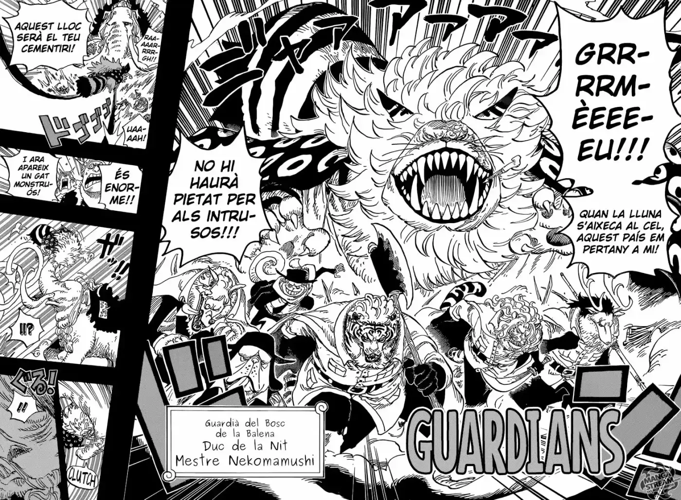 One Piece (Català) (1997) - Capítulo 809 - Página 16 - LectorTMOo
