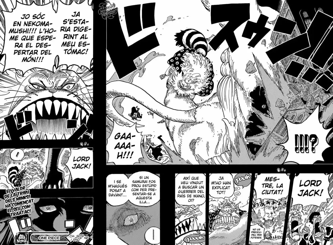 One Piece (Català) (1997) - Capítulo 809 - Página 17 - LectorTMOo