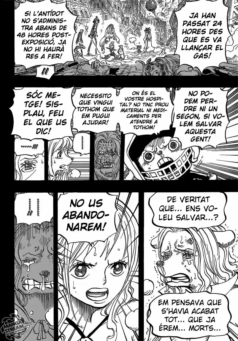 One Piece (Català) (1997) - Capítulo 811 - Página 11 - LectorTMOo