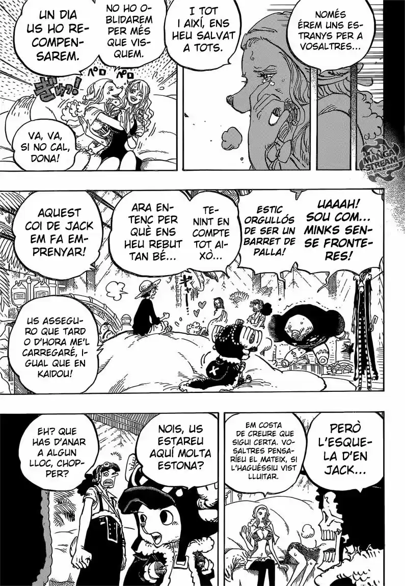 One Piece (Català) (1997) - Capítulo 811 - Página 14 - LectorTMOo