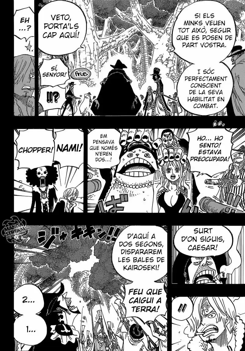 One Piece (Català) (1997) - Capítulo 812 - Página 14 - LectorTMOo