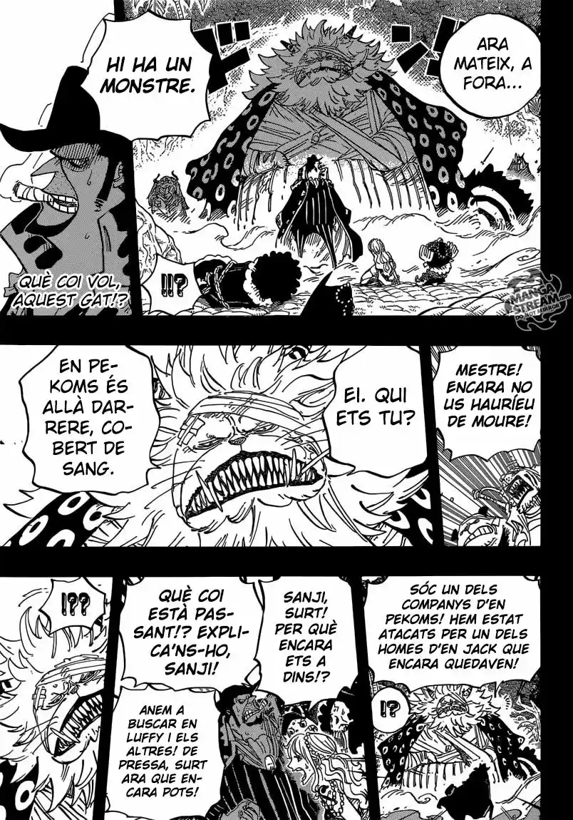 One Piece (Català) (1997) - Capítulo 813 - Página 15 - LectorTMOo