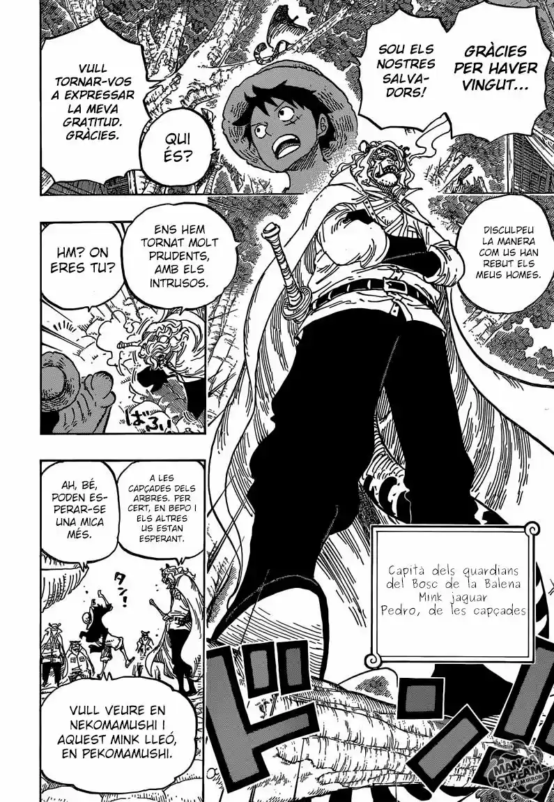 One Piece (Català) (1997) - Capítulo 814 - Página 11 - LectorTMOo