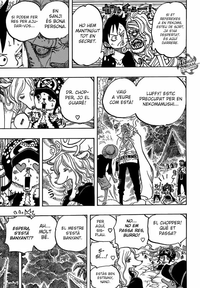 One Piece (Català) (1997) - Capítulo 814 - Página 12 - LectorTMOo