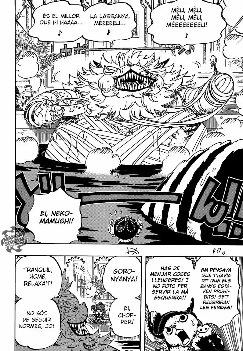 One Piece (Català) (1997) - Capítulo 814 - Página 13 - LectorTMOo