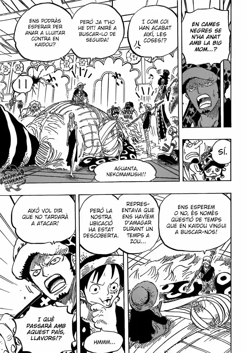 One Piece (Català) (1997) - Capítulo 815 - Página 13 - LectorTMOo
