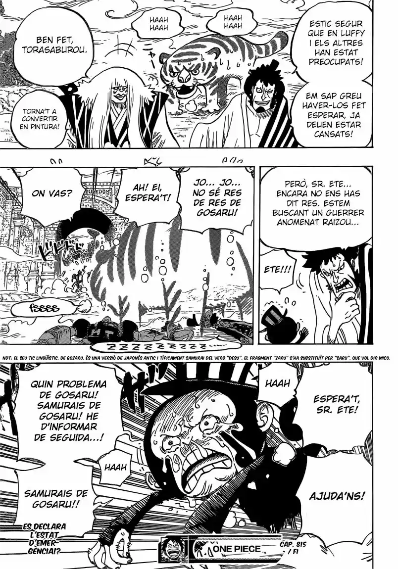 One Piece (Català) (1997) - Capítulo 815 - Página 17 - LectorTMOo