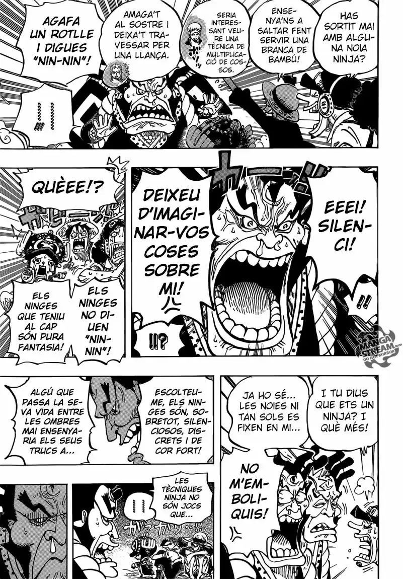 One Piece (Català) (1997) - Capítulo 817 - Página 17 - LectorTMOo