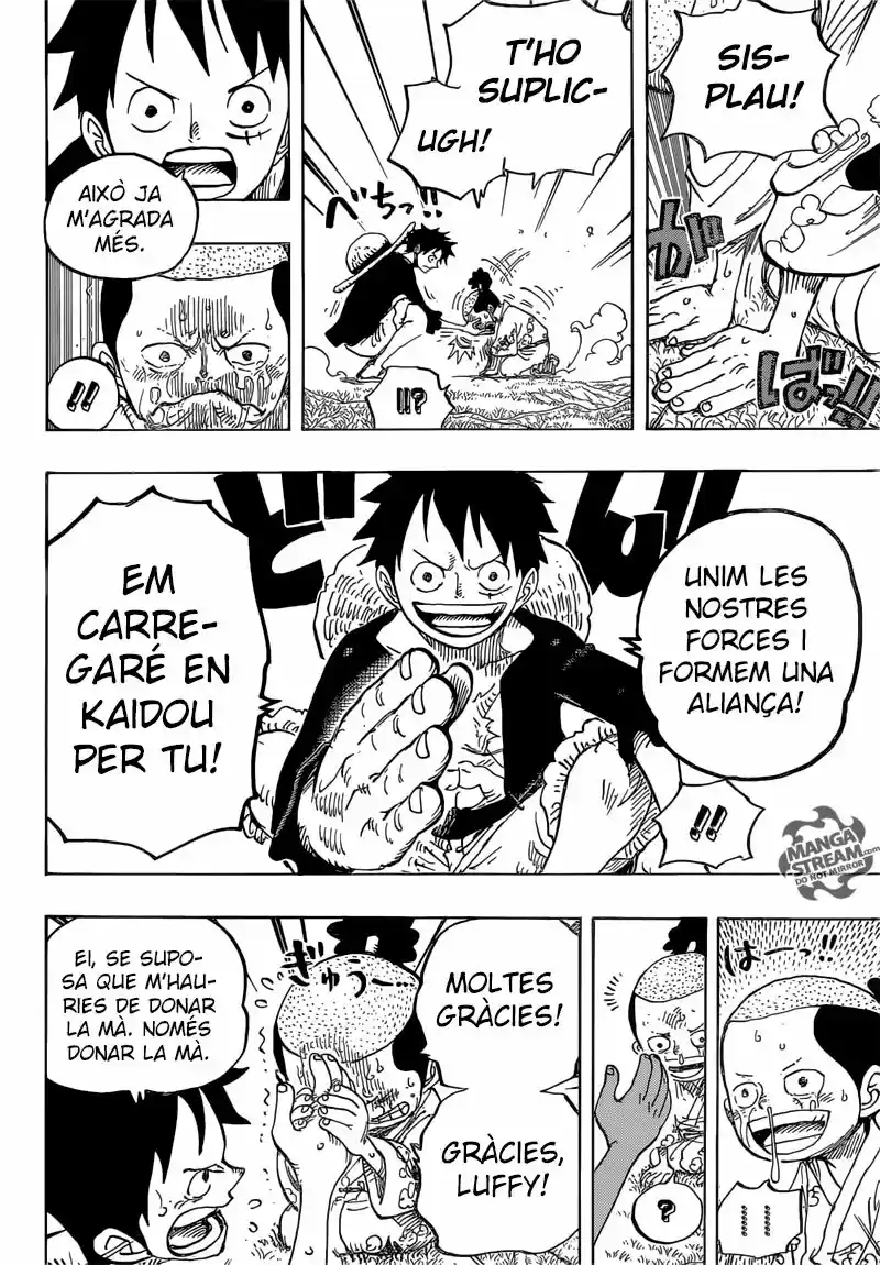 One Piece (Català) (1997) - Capítulo 819 - Página 12 - LectorTMOo