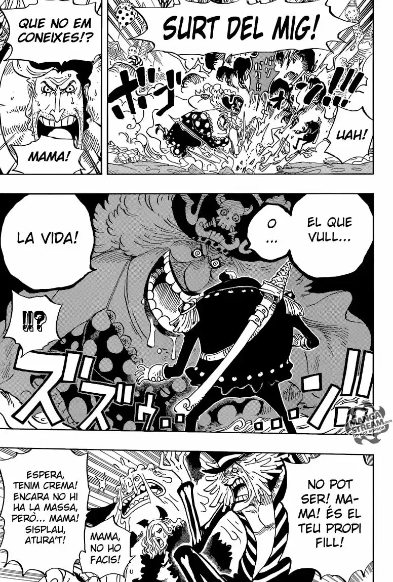 One Piece (Català) (1997) - Capítulo 829 - Página 11 - LectorTMOo