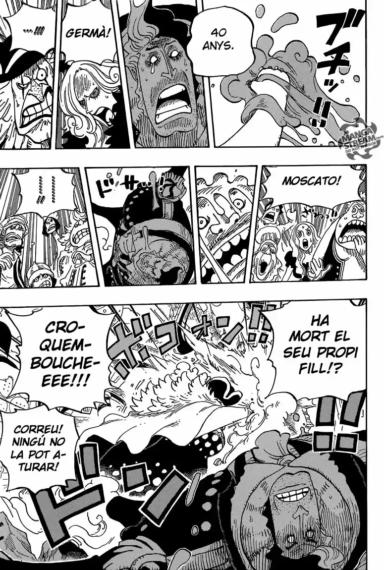 One Piece (Català) (1997) - Capítulo 829 - Página 13 - LectorTMOo