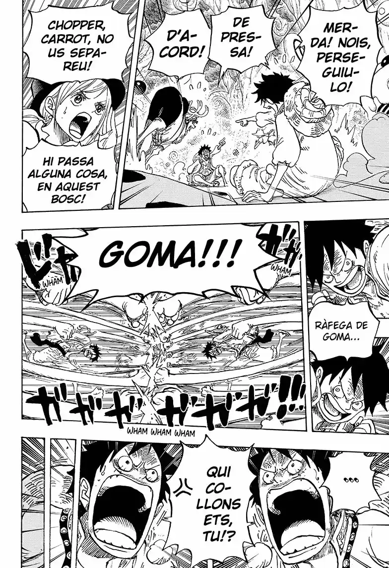 One Piece (Català) (1997) - Capítulo 831 - Página 14 - LectorTMOo