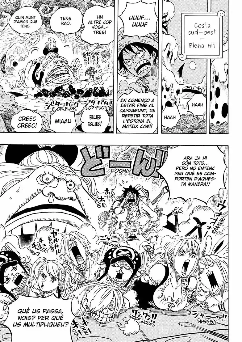 One Piece (Català) (1997) - Capítulo 834 - Página 17 - LectorTMOo