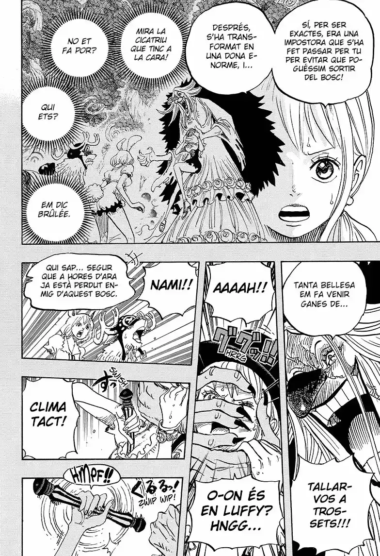 One Piece (Català) (1997) - Capítulo 835 - Página 5 - LectorTMOo