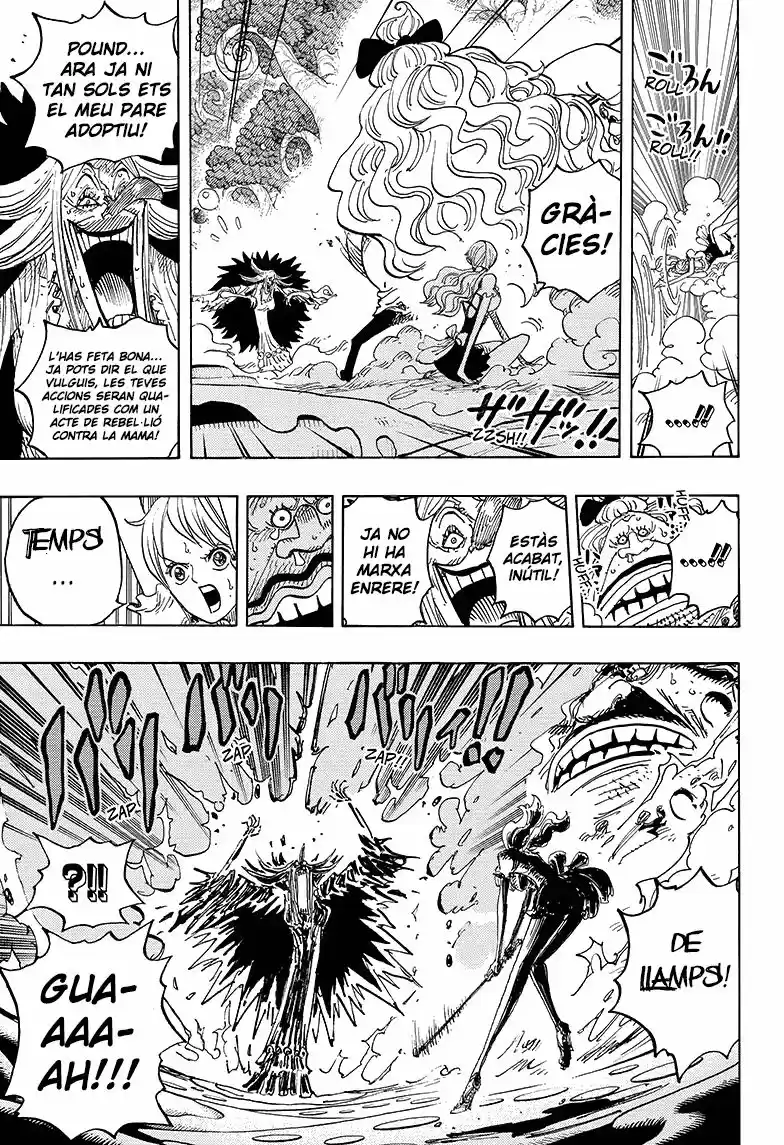 One Piece (Català) (1997) - Capítulo 837 - Página 10 - LectorTMOo