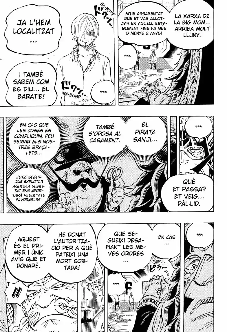 One Piece (Català) (1997) - Capítulo 839 - Página 10 - LectorTMOo