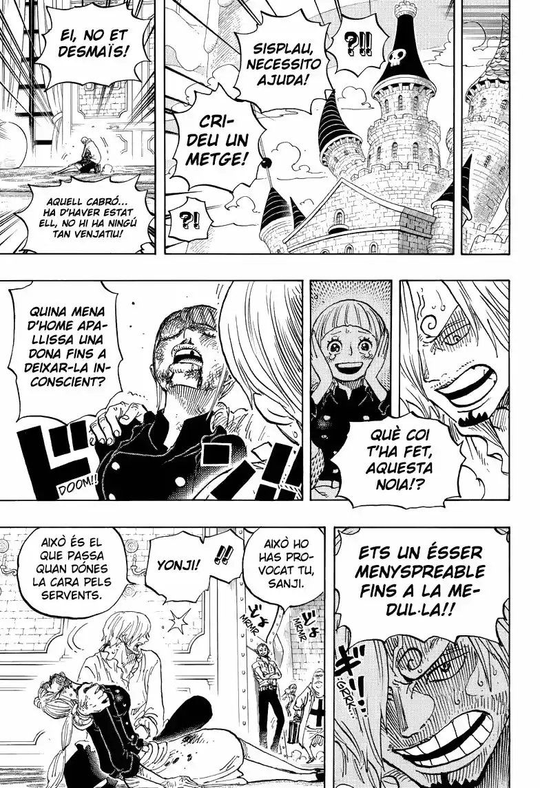 One Piece (Català) (1997) - Capítulo 839 - Página 14 - LectorTMOo
