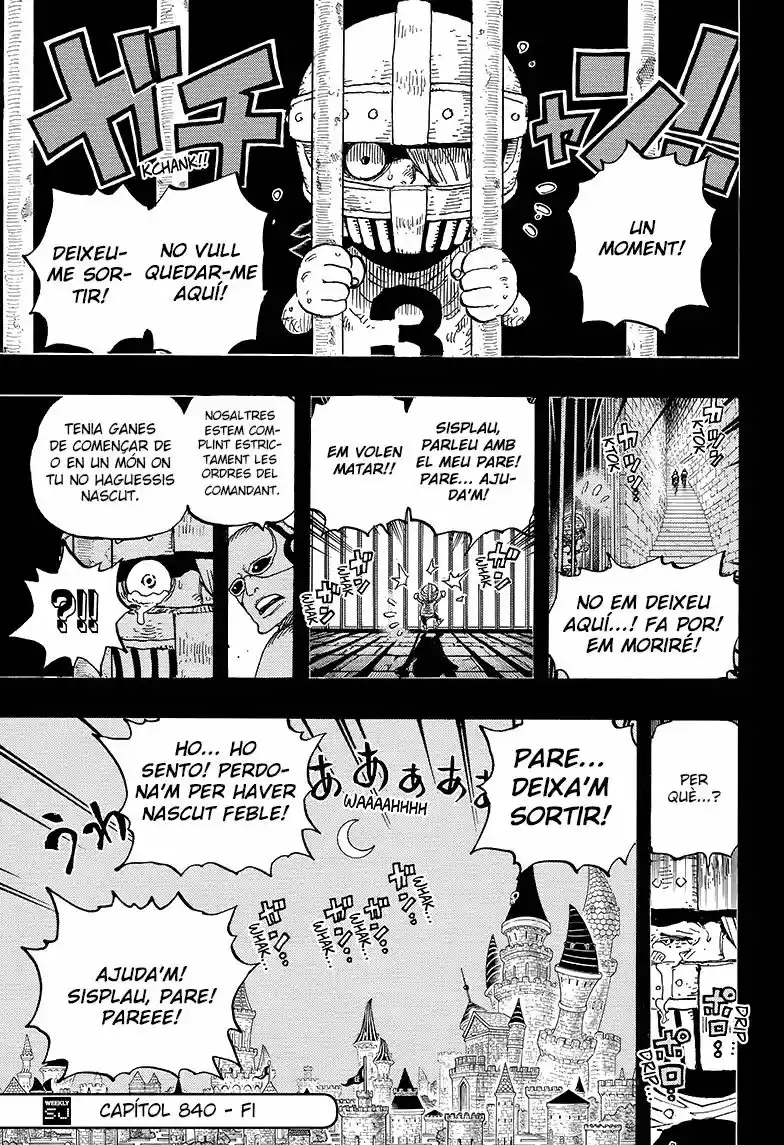 One Piece (Català) (1997) - Capítulo 840 - Página 17 - LectorTMOo
