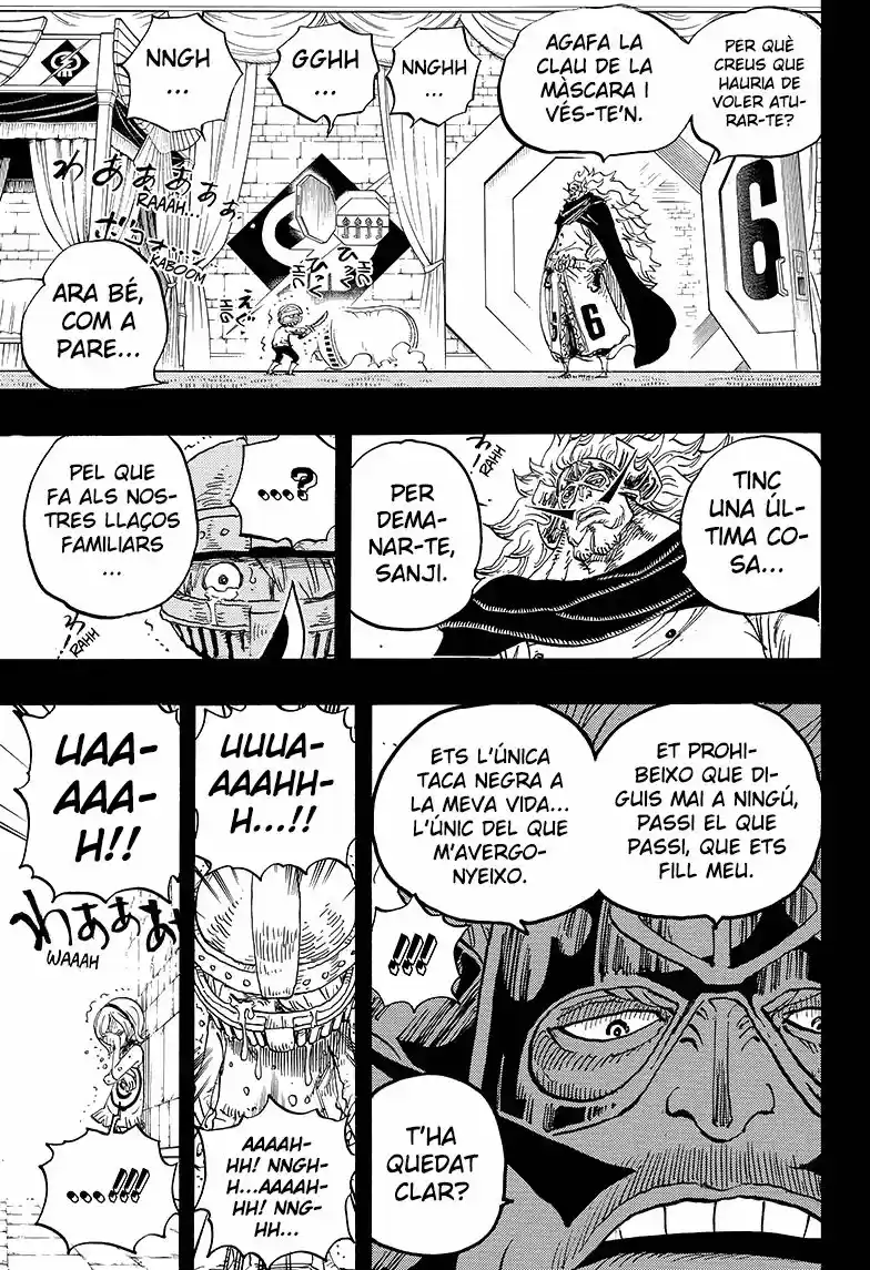 One Piece (Català) (1997) - Capítulo 841 - Página 13 - LectorTMOo