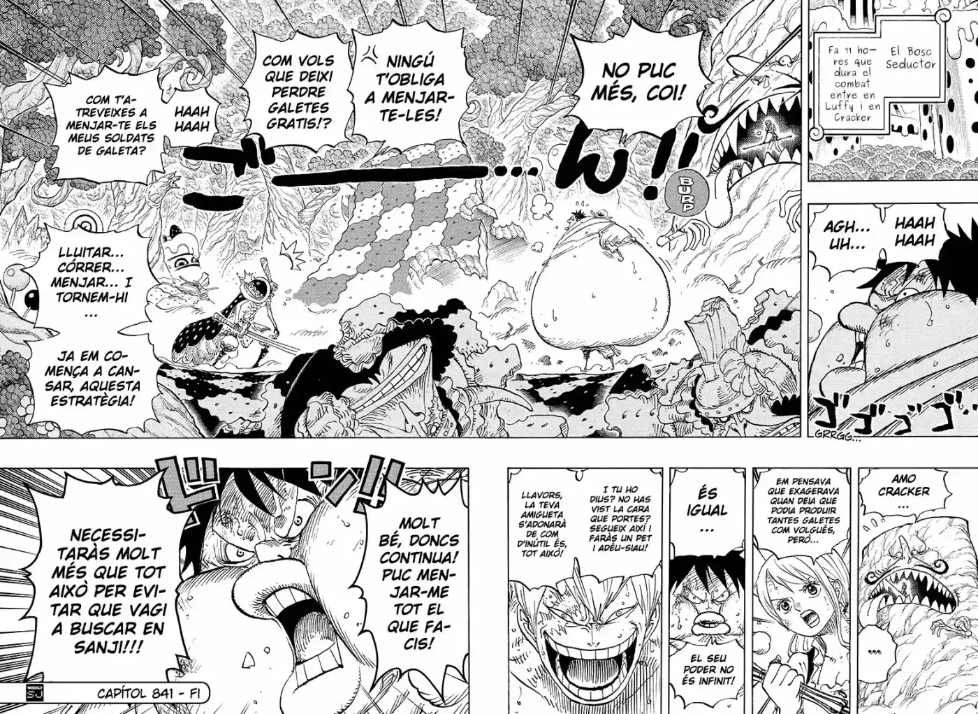 One Piece (Català) (1997) - Capítulo 841 - Página 16 - LectorTMOo
