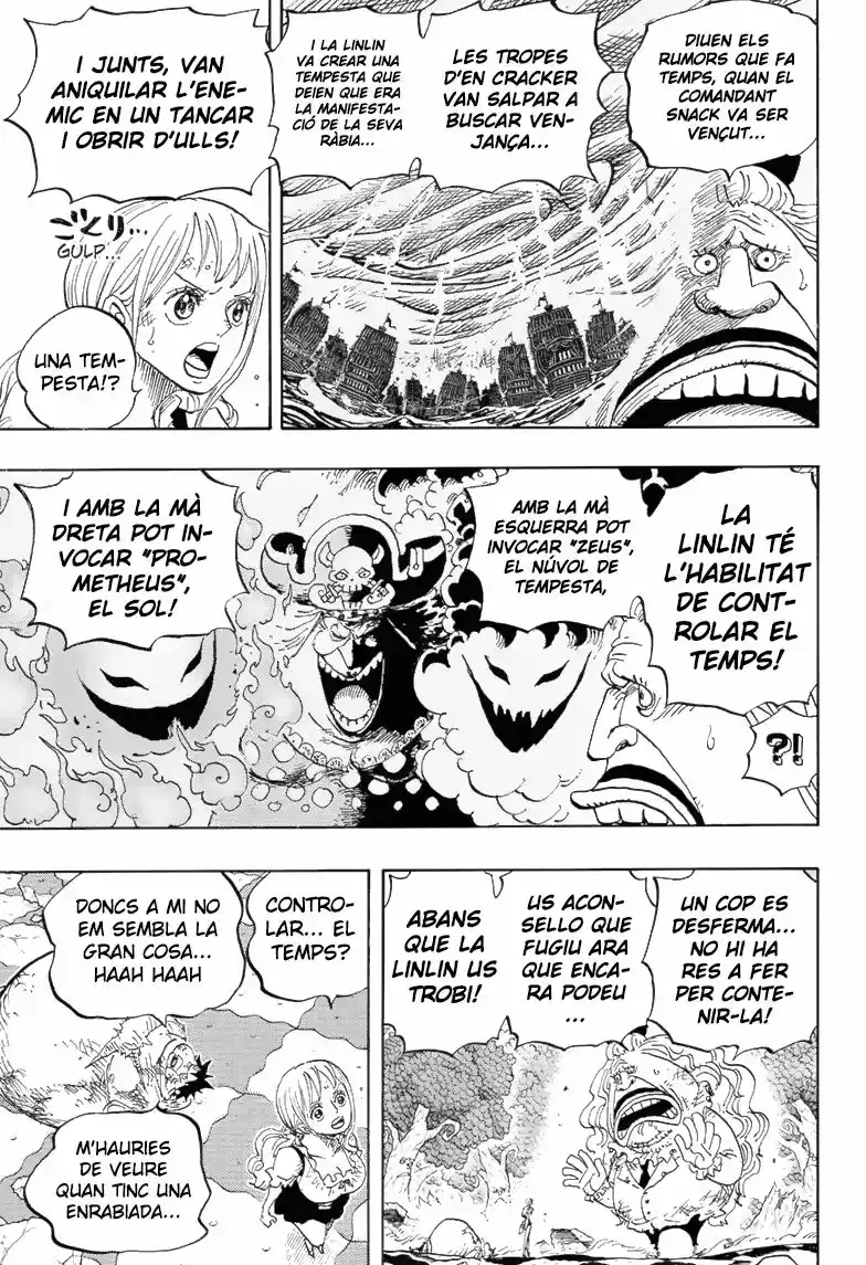 One Piece (Català) (1997) - Capítulo 843 - Página 6 - LectorTMOo