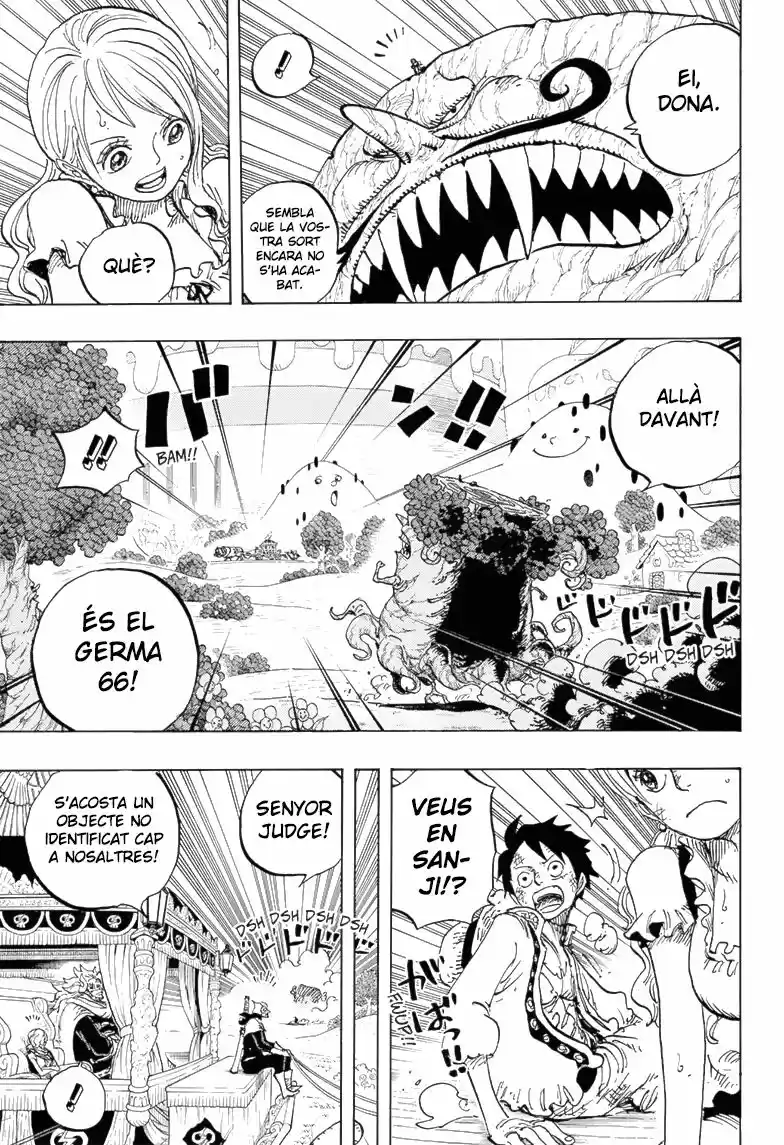 One Piece (Català) (1997) - Capítulo 843 - Página 10 - LectorTMOo