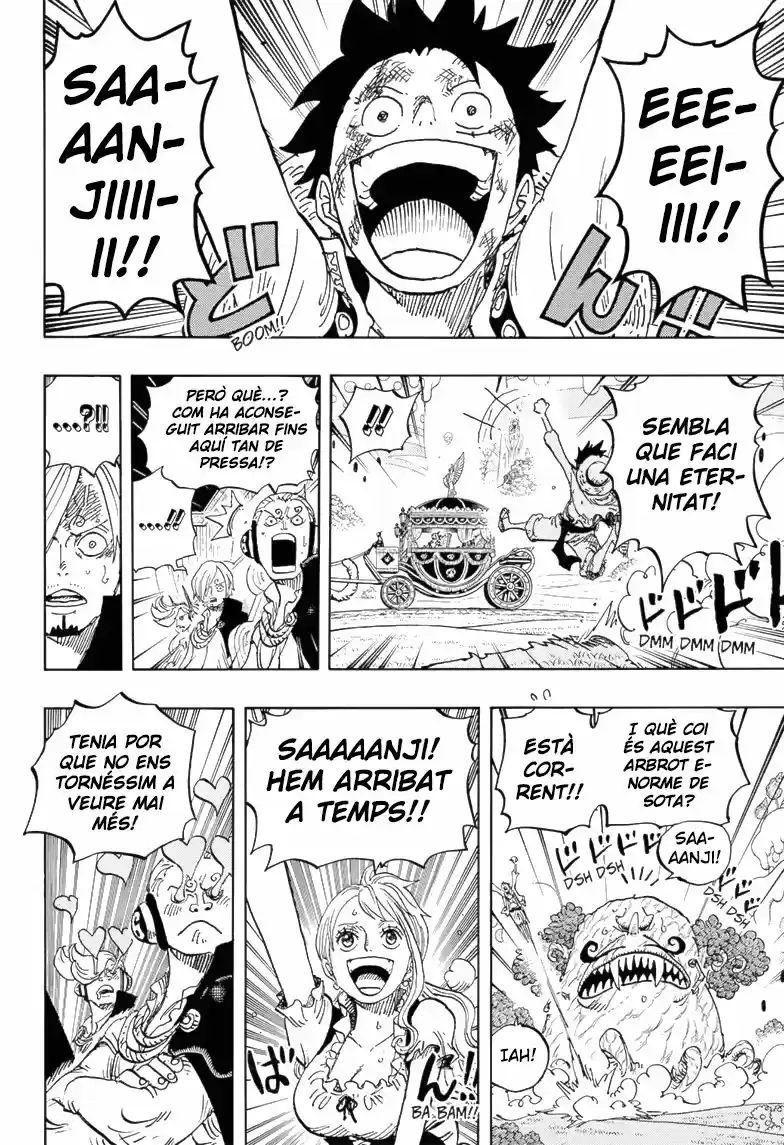 One Piece (Català) (1997) - Capítulo 843 - Página 11 - LectorTMOo