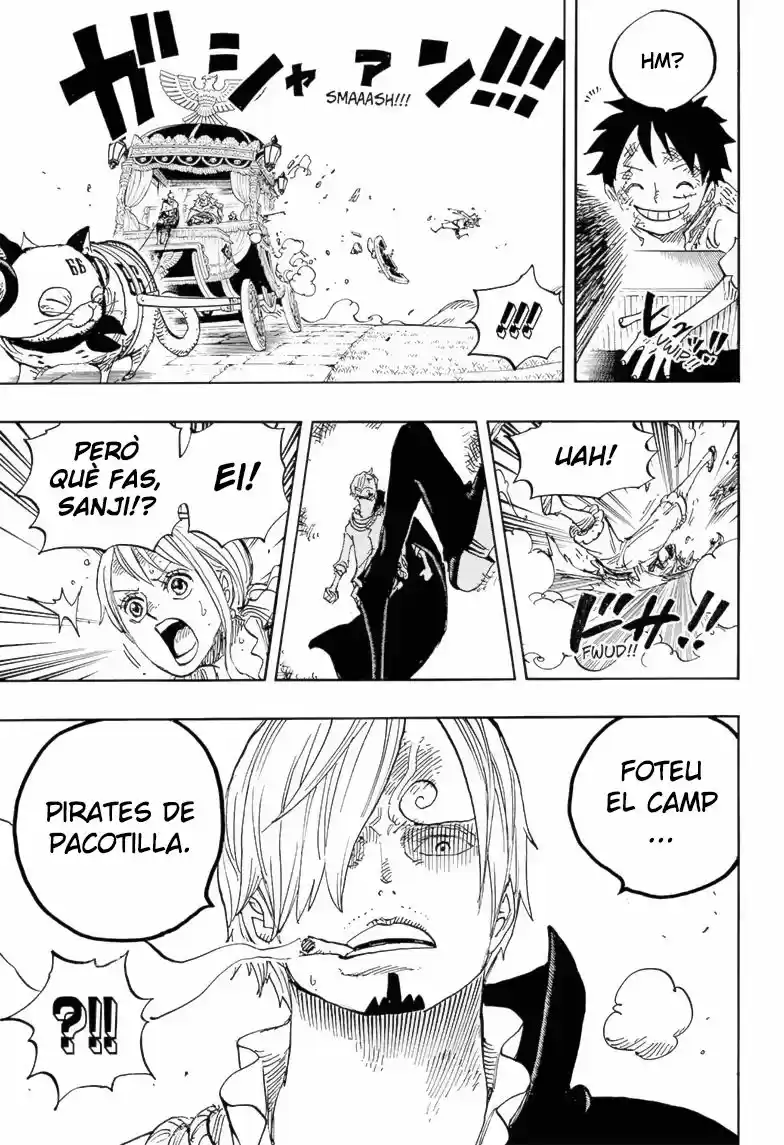One Piece (Català) (1997) - Capítulo 843 - Página 14 - LectorTMOo
