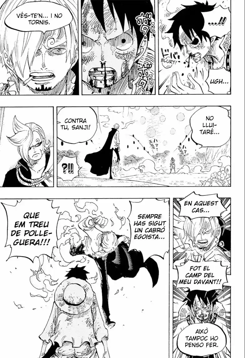 One Piece (Català) (1997) - Capítulo 844 - Página 7 - LectorTMOo