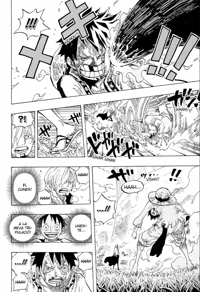 One Piece (Català) (1997) - Capítulo 844 - Página 8 - LectorTMOo