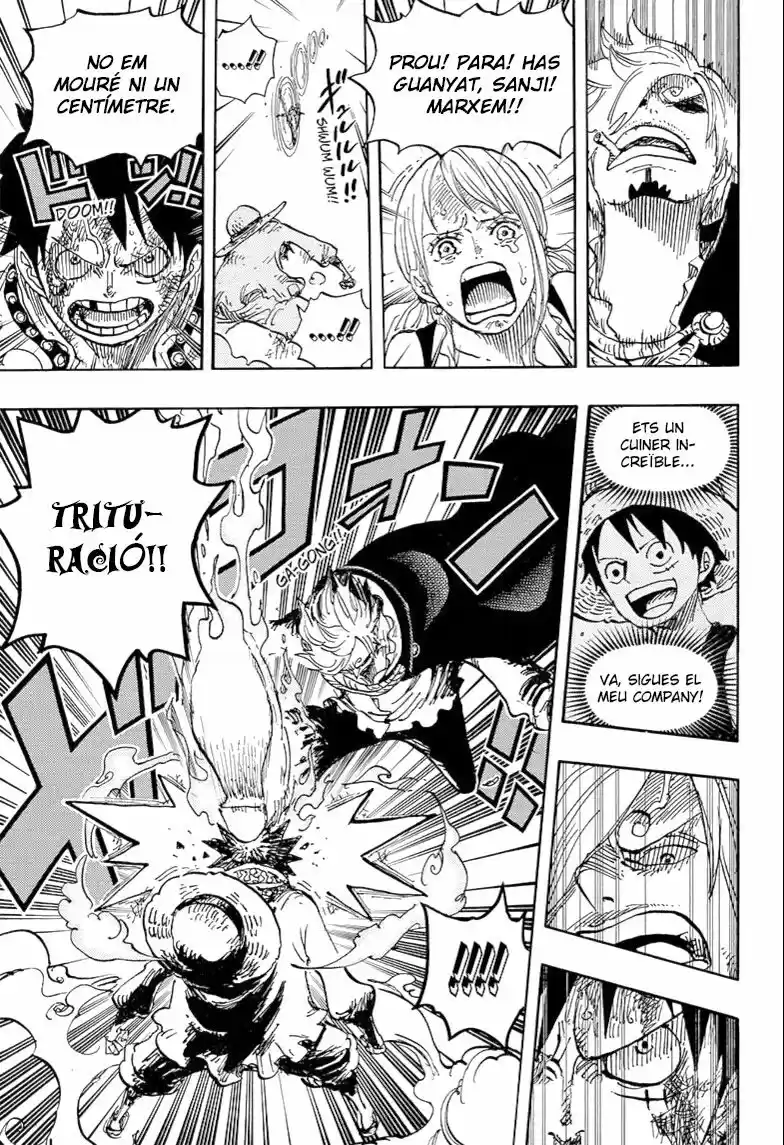 One Piece (Català) (1997) - Capítulo 844 - Página 11 - LectorTMOo
