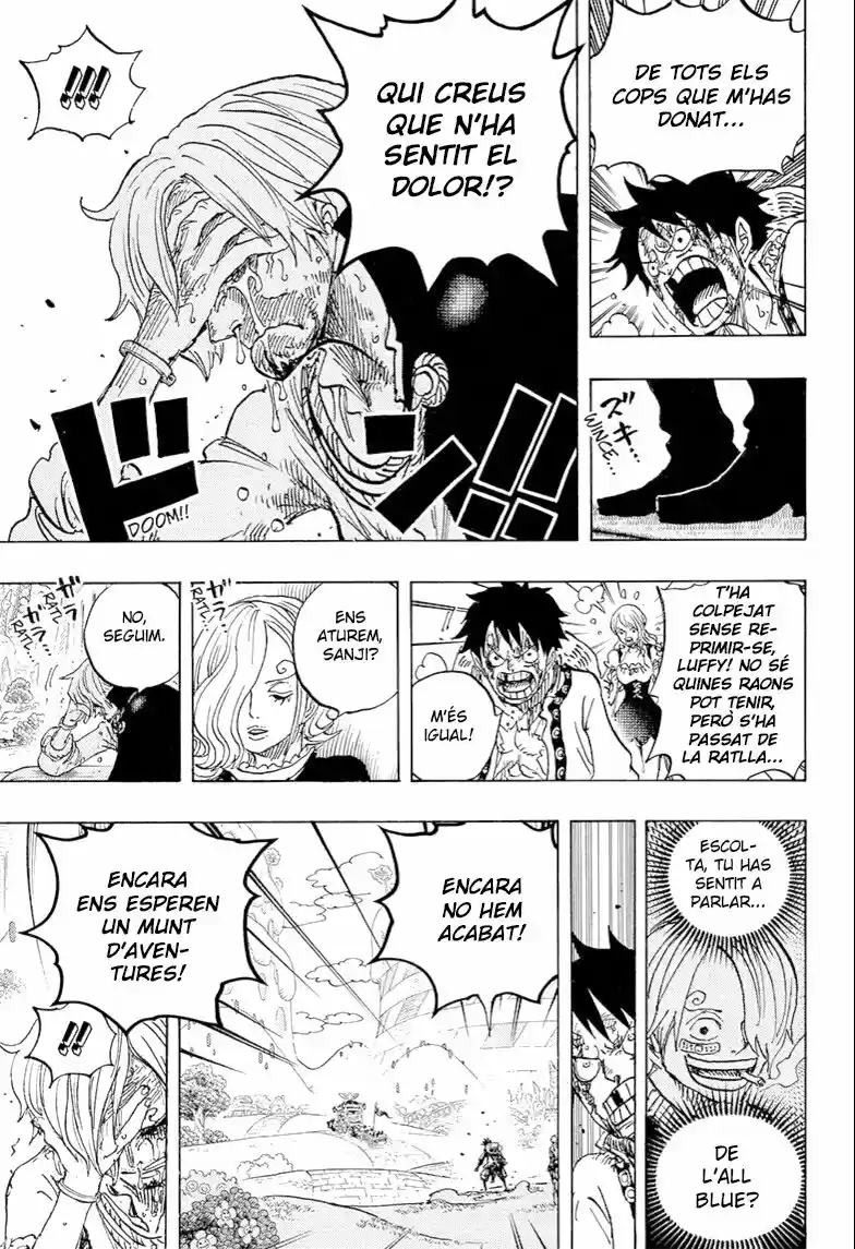 One Piece (Català) (1997) - Capítulo 844 - Página 15 - LectorTMOo