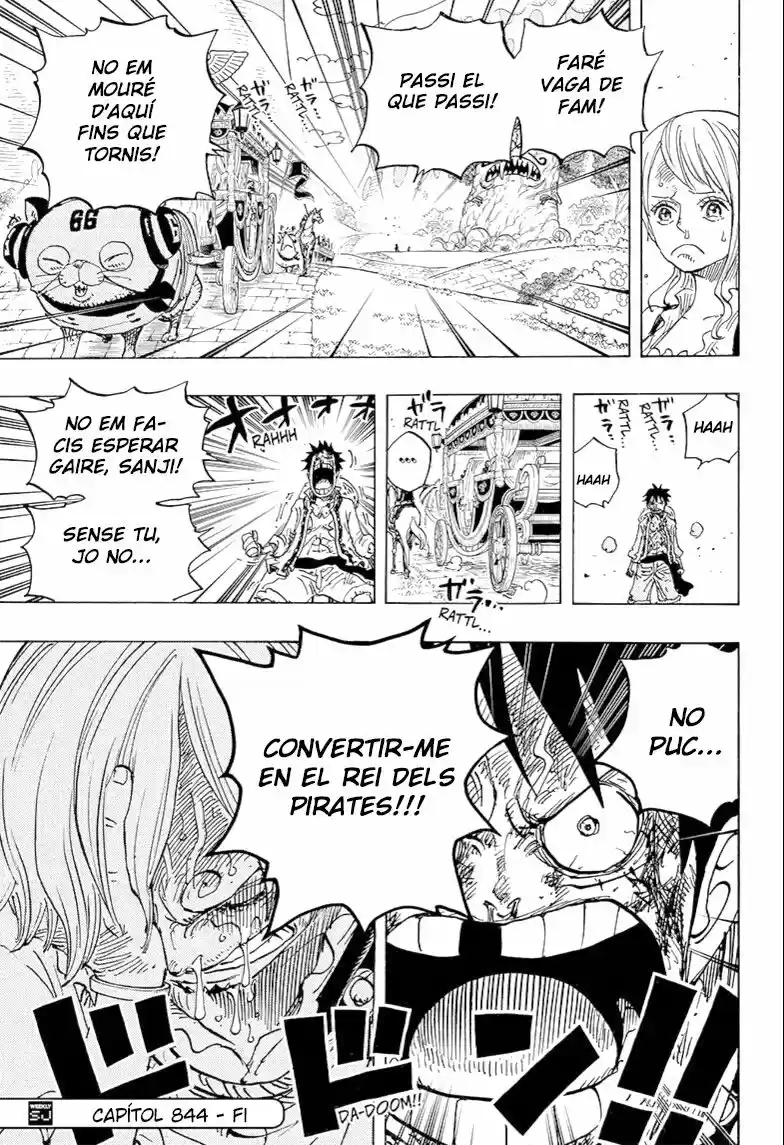 One Piece (Català) (1997) - Capítulo 844 - Página 17 - LectorTMOo