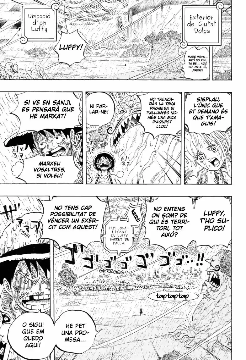 One Piece (Català) (1997) - Capítulo 845 - Página 10 - LectorTMOo
