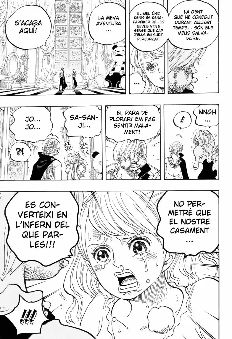 One Piece (Català) (1997) - Capítulo 845 - Página 14 - LectorTMOo